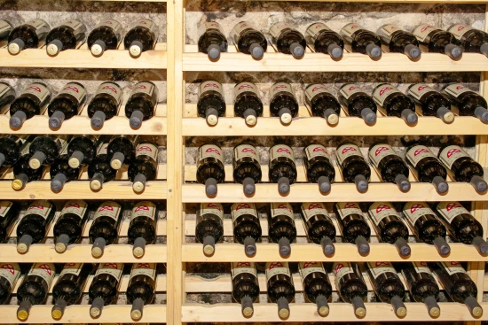 Apartmánový pokoj Černá Hora - Virpazar CH 7035 N1