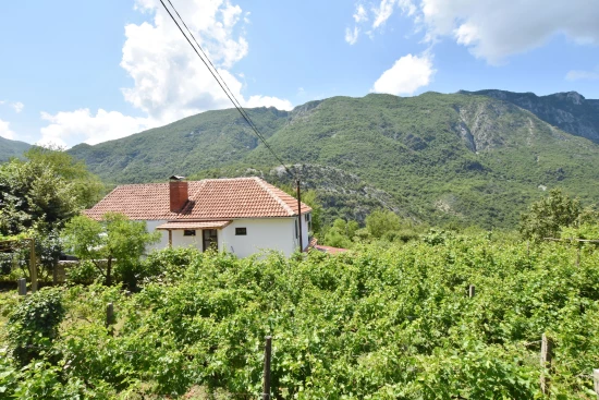 Apartmánový pokoj Černá Hora - Virpazar CH 7035 N1