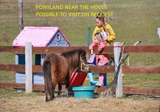 Domek Severní Dalmácie - Zemunik Donji (Zadar) DA 7679 N1