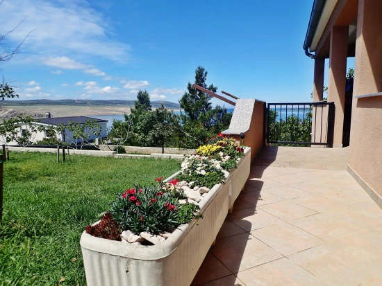 Apartmán Severní Dalmácie - Rovanjska (Seline) DA 7690 N1