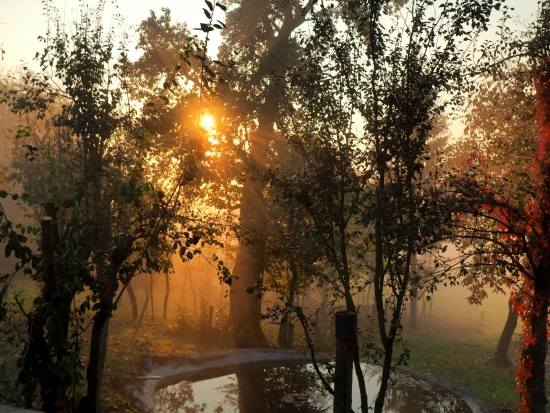 Apartmán Kvarner - Josipdol KV 7128 N1