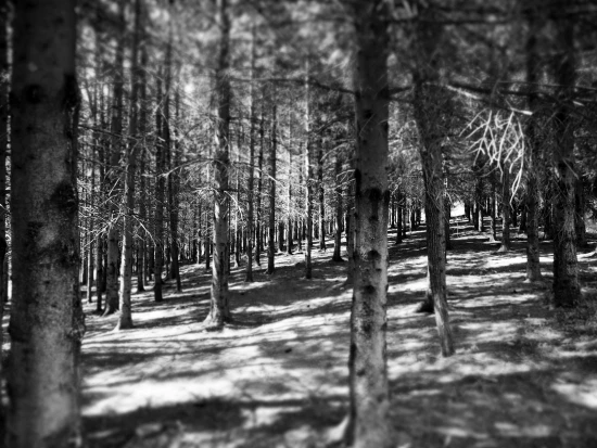 Apartmán Kvarner - Josipdol KV 7128 N2