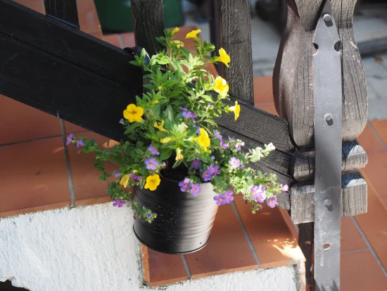 Apartmán Kvarner - Josipdol KV 7128 N2