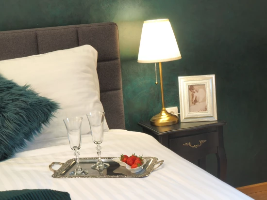 Apartmán Kvarner - Josipdol KV 7128 N4