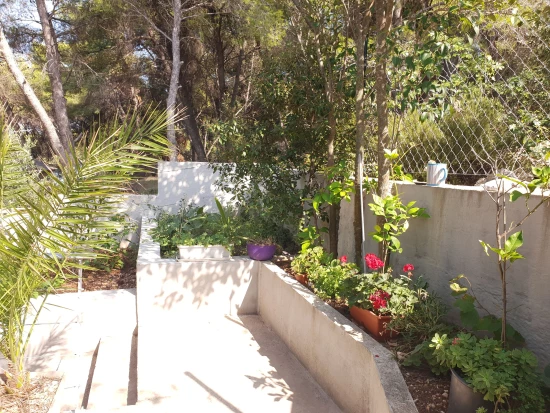 Domek Střední Dalmácie - Slatine (Čiovo) DA 7694 N1