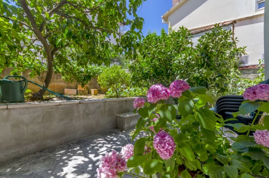 Apartmán Střední Dalmácie - Arbanija (Čiovo) DA 7706 N2