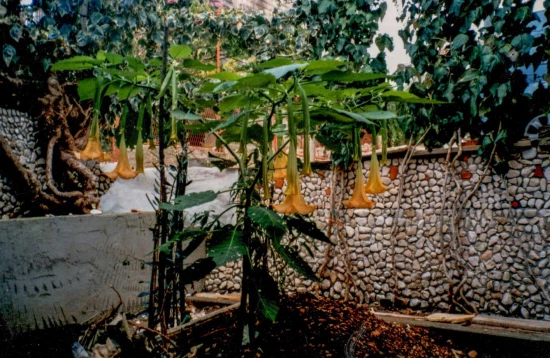 Domek Střední Dalmácie - Okrug Gornji DA 7710 N1