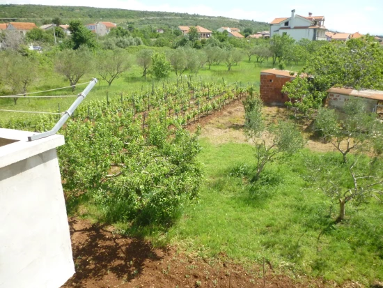 Apartmán Severní Dalmácie - Posedarje DA 7713 N1