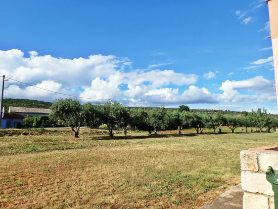 Apartmán Severní Dalmácie - Posedarje DA 7713 N1