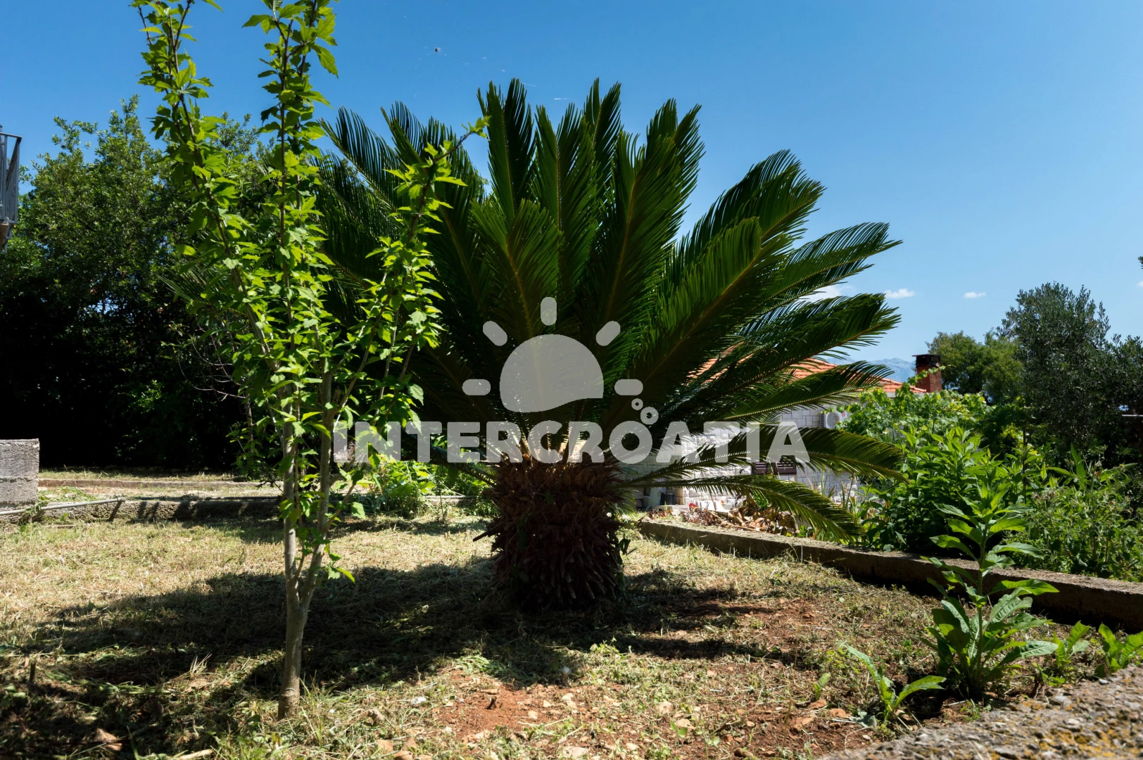 Apartmán Ostrov Brač - Sumartin OS 9750 N1