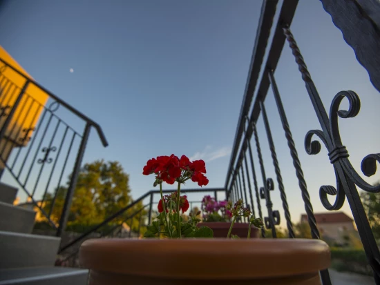 Apartmán Severní Dalmácie - Starigrad Paklenica DA 7726 N2