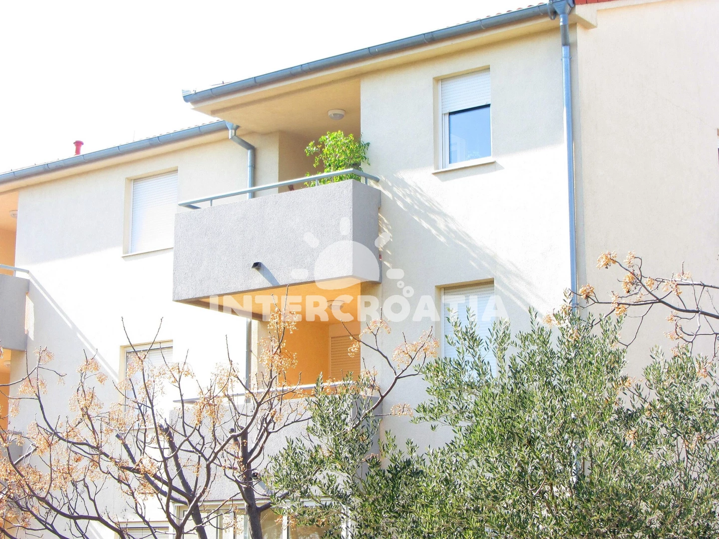 Apartmán Severní Dalmácie - Biograd na Moru DA 7734 N1