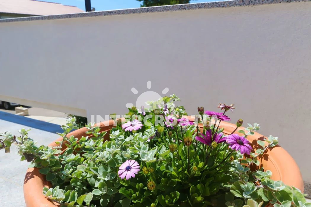 Apartmán Ostrov Pag - Novalja OS 9776 N2