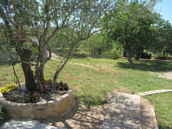 Domek Ostrov Pašman - Pašman OS 9779 N1