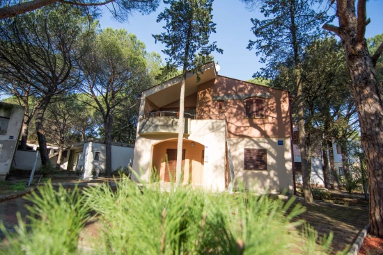 Apartmán Severní Dalmácie - Biograd na Moru DA 7746 N1