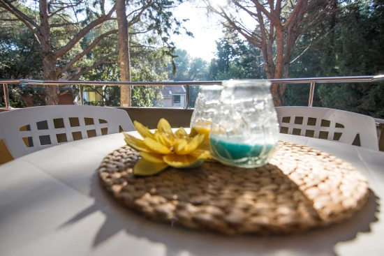 Apartmán Severní Dalmácie - Biograd na Moru DA 7746 N1