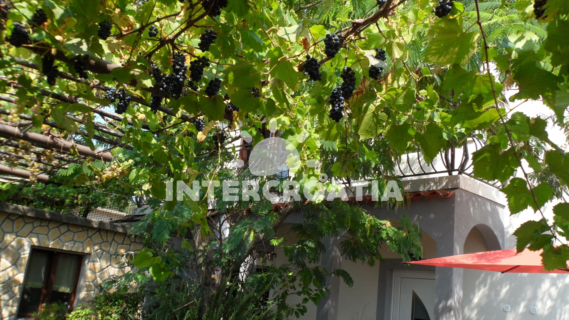 Domek Kvarner - Crikvenica KV 7158 N1