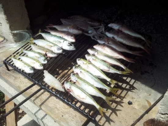 Apartmán Ostrov Šolta - Nečujam OS 9782 N1