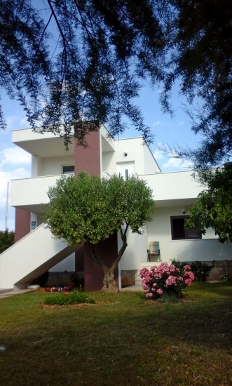 Apartmán Severní Dalmácie - Rogoznica DA 7754 N1