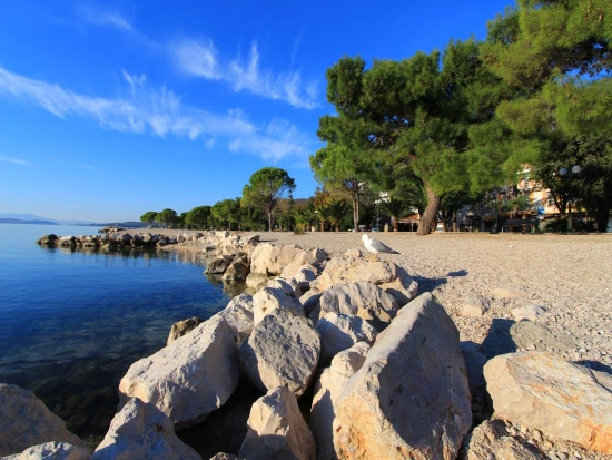 Domek Kvarner - Crikvenica KV 7185 N1