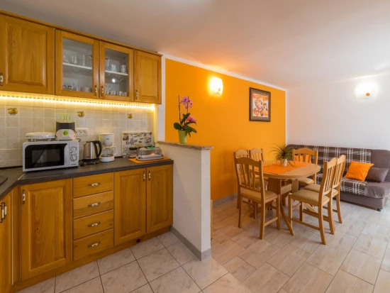 Domek Kvarner - Tribalj (Crikvenica) KV 7294 N1