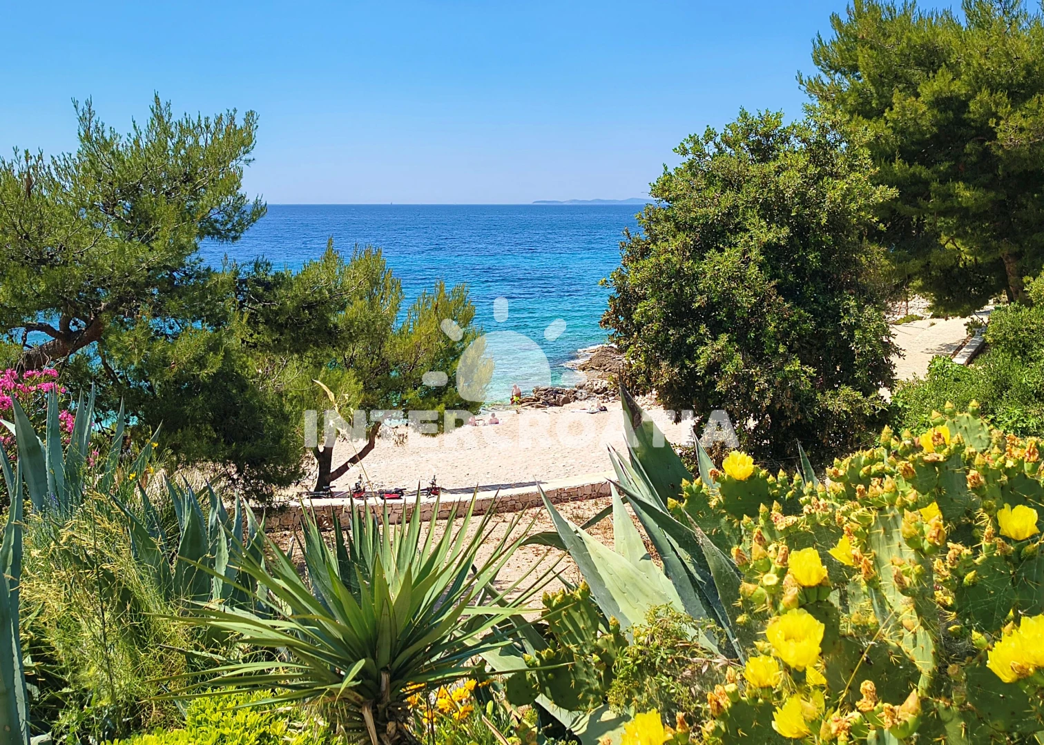 Apartmán Severní Dalmácie - Dolac (Primošten) DA 7759 N1