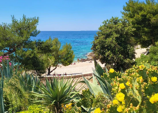 Apartmán Severní Dalmácie - Dolac (Primošten) DA 7759 N1