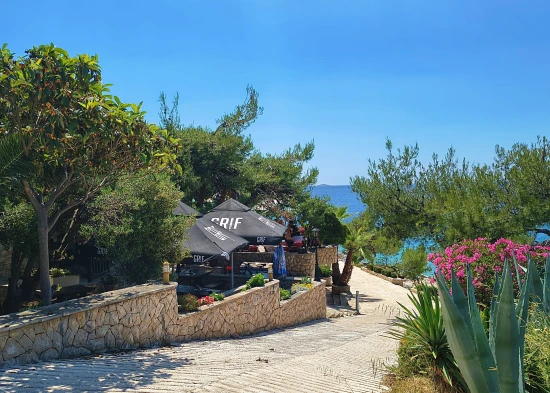 Apartmán Severní Dalmácie - Dolac (Primošten) DA 7759 N1