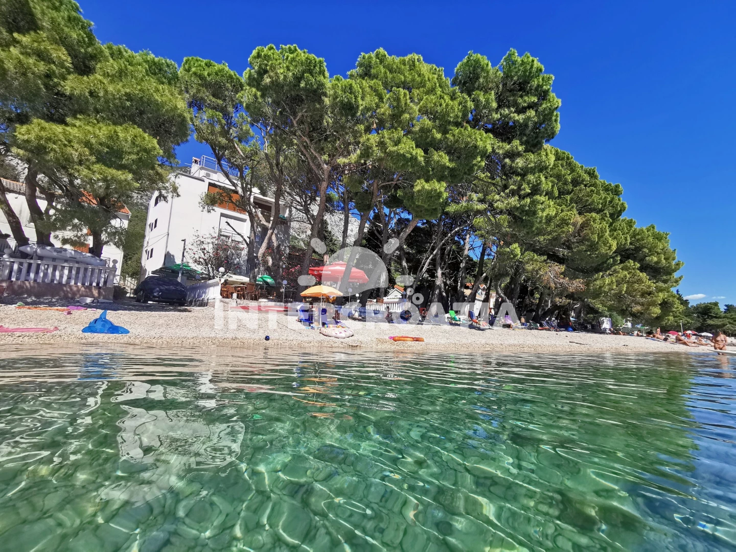 Apartmán Střední Dalmácie - Živogošče DA 7764 N22