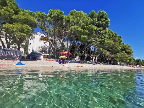 Apartmán Střední Dalmácie - Živogošče DA 7764 N13