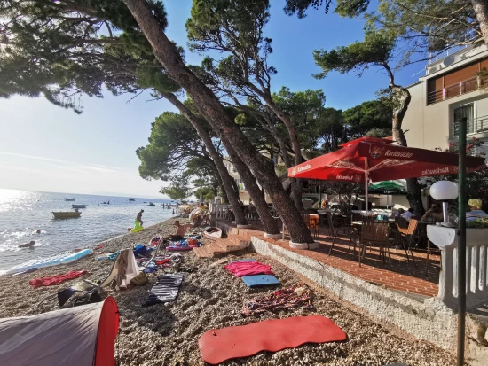 Apartmán Střední Dalmácie - Živogošče DA 7764 N23