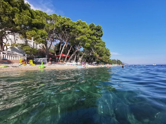 Apartmán Střední Dalmácie - Živogošče DA 7765 N1