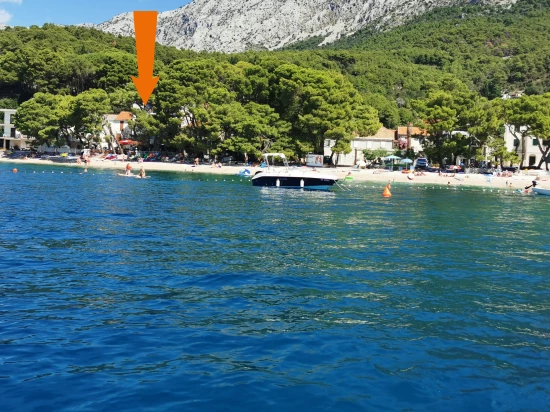 Apartmán Střední Dalmácie - Živogošče DA 7765 N1