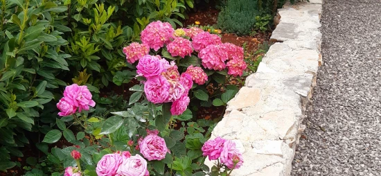 Domek Střední Dalmácie - Vrsine (Poljica) DA 7772 N1