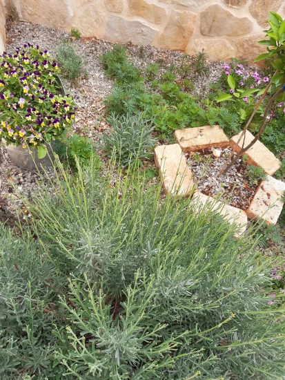 Domek Střední Dalmácie - Vrsine (Poljica) DA 7772 N1