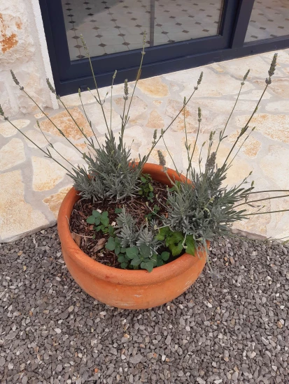 Domek Střední Dalmácie - Vrsine (Poljica) DA 7772 N1