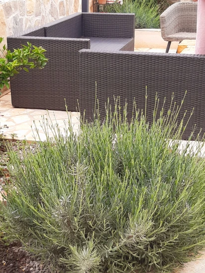 Domek Střední Dalmácie - Vrsine (Poljica) DA 7772 N1