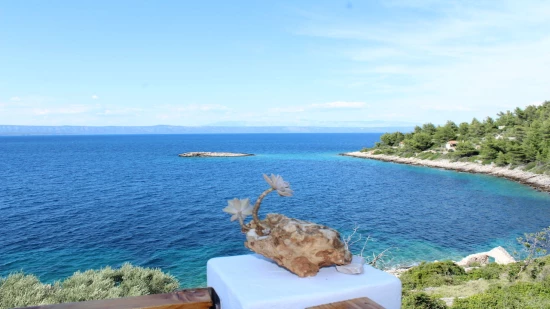 Domek Ostrov Korčula - Vela Luka OS 9804 N1