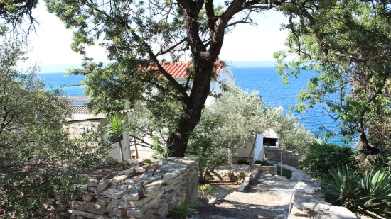 Domek Ostrov Korčula - Vela Luka OS 9804 N1