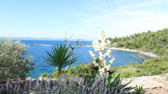 Domek Ostrov Korčula - Vela Luka OS 9804 N1