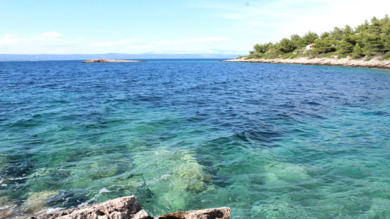 Domek Ostrov Korčula - Vela Luka OS 9804 N1