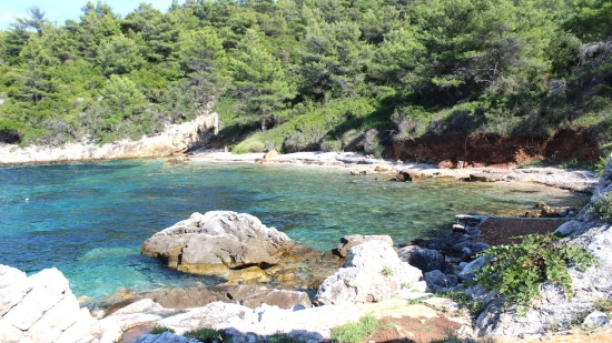 Domek Ostrov Korčula - Vela Luka OS 9804 N1