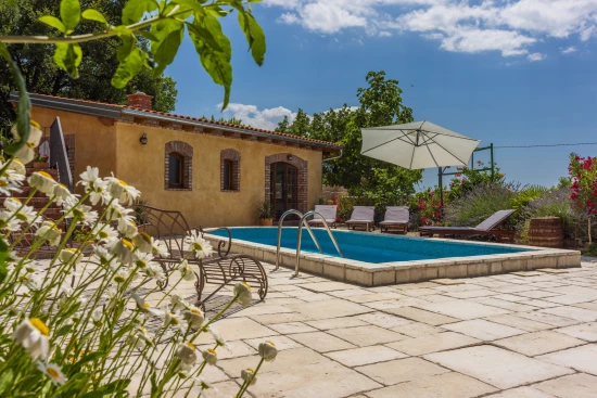 Domek Kvarner - Grižane (Crikvenica) KV 7308 N1