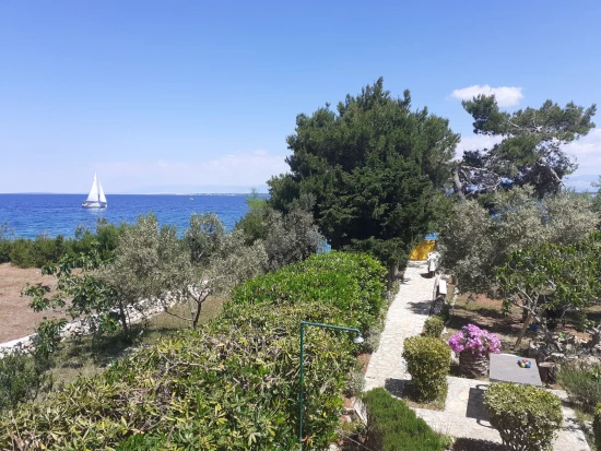 Apartmán Ostrov Ugljan - Sutomišćica OS 9815 N2