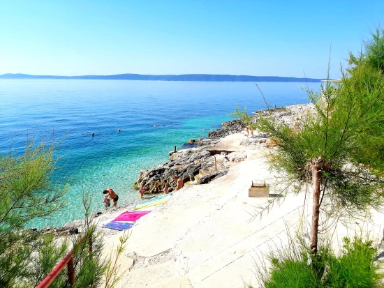 Apartmán Střední Dalmácie - Okrug Gornji DA 7789 N1