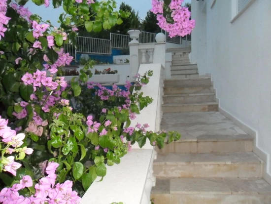 Apartmán Střední Dalmácie - Žedno (Čiovo) DA 7794 N1