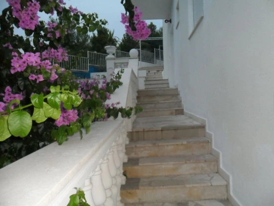 Apartmán Střední Dalmácie - Žedno (Čiovo) DA 7794 N3