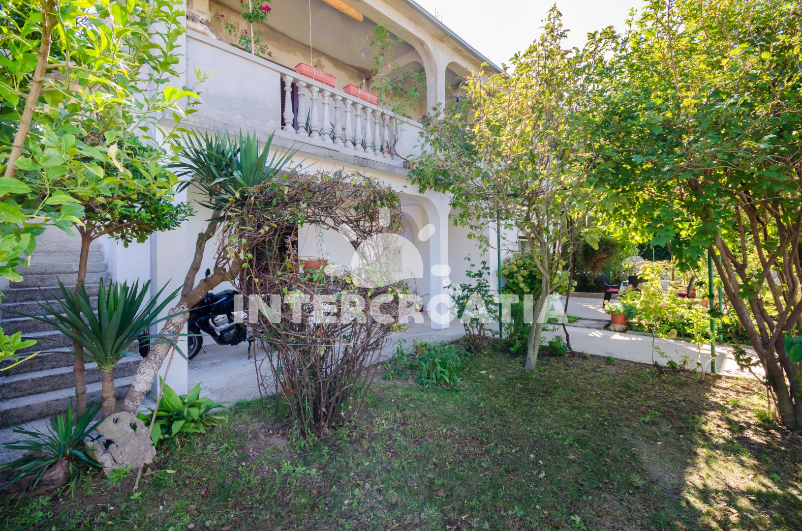 Apartmán Ostrov Rab - Lopar OS 9838 N1