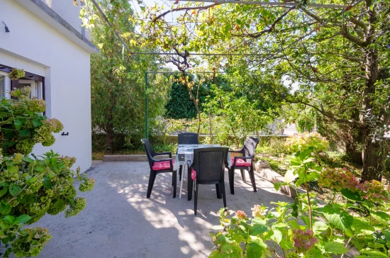 Apartmán Ostrov Rab - Lopar OS 9838 N1