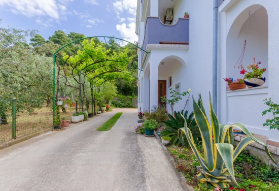 Apartmán Ostrov Rab - Palit OS 9840 N1